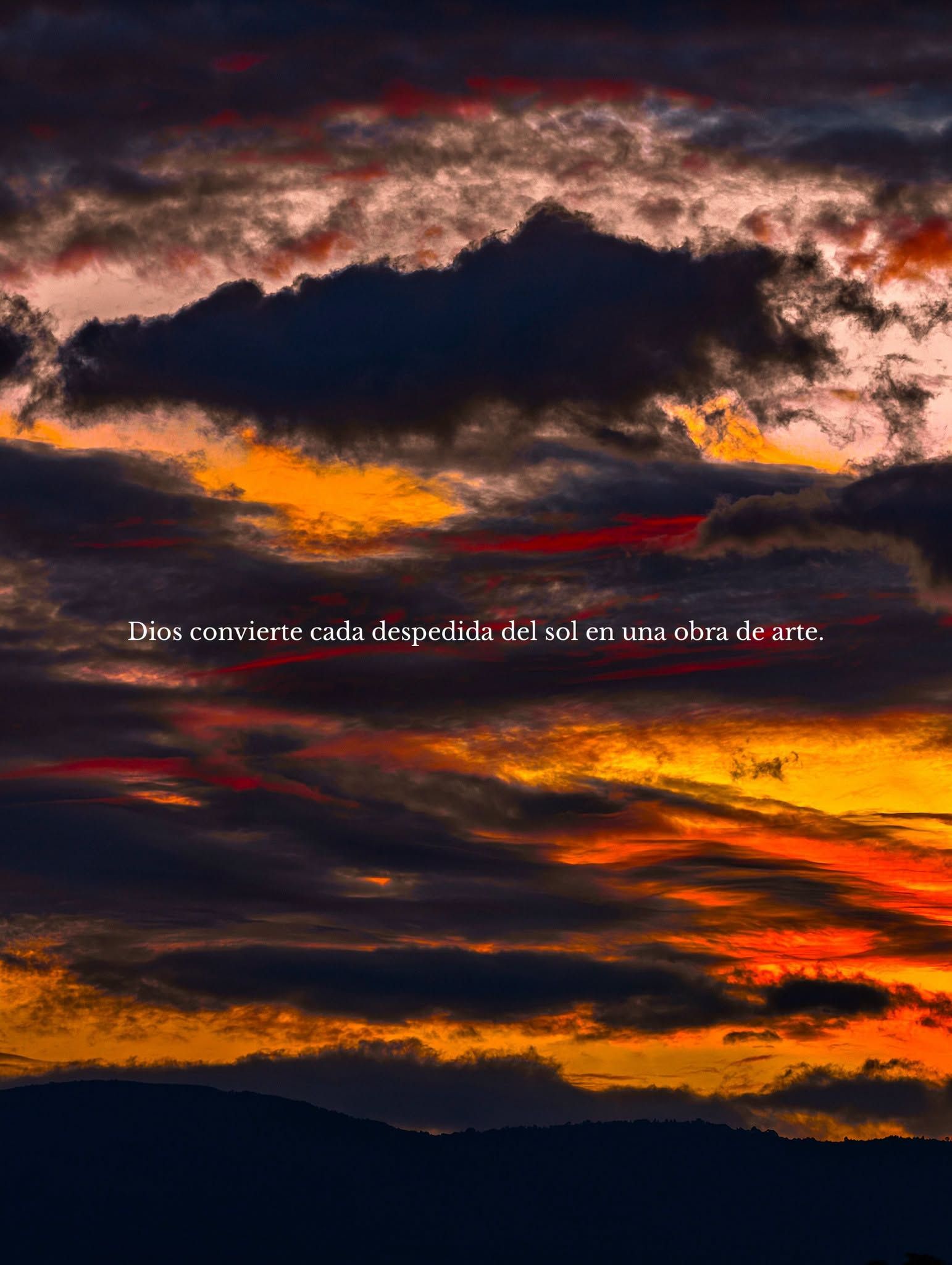 Cargando Imagen...